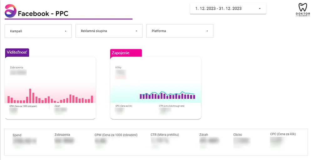 Beispiel eines Looker-Studio-Reports für Facebook-Kampagnen (Zahlen unscharf)